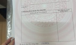 Bán đất kinh doanh tại Hữu Thủ, Kim Long, Tam Dương, Vĩnh Phúc. Giá chỉ 14,5 triệu/m2
