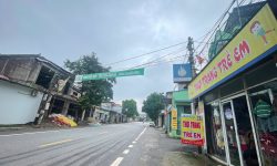 Bán đất trục chính kinh doanh tại QL2C Đạo Tú, Tam Dương, Vĩnh Phúc