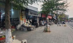 Bán 600m2 tiếp giáp KCN Khai Quang, Vĩnh Yên, Vĩnh Phúc
