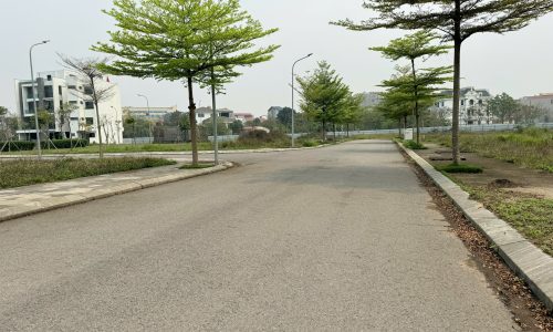 Cần bán gấp và rất gấp ô đất trong khu đô thị Vân Hội City, Đồng Tâm, Vĩnh Yên, Vĩnh Phúc.