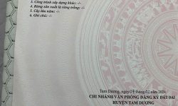 Bán đất tại Hướng đạo, Tam dương, Vĩnh Phúc. DT 800m2 giá 8 tỷ Hướng Đông