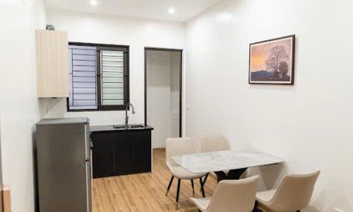 Cho thuê căn hộ mini tại Liên Bảo, Vĩnh Yên, Vĩnh Phúc. 18 căn hộ. Giá 70 triệu/ tháng