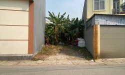 Bán đất đẹp tại Trại Giao, Khai Quang, Vĩnh Yên, Vĩnh Phúc