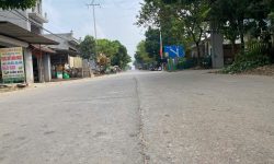 Bán đất trục chính kinh doanh tại tỉnh Lộ 310 Đạo Tú, Tam Dương, Vĩnh Phúc