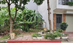 Bán đất hướng Đông Nam khu D Nam Đầm Vạc, Khai Quang, Vĩnh Yên, Vĩnh Phúc