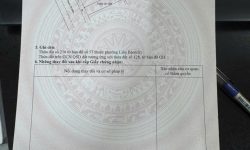 113m2 phố Đoàn Thị Điểm – Liên Bảo – Vĩnh Yên