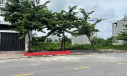 Bán đất đấu giá Đồng Hin, Lai Sơn, Đồng Tâm, Vĩnh Yên, Vĩnh Phúc