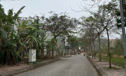 Bán 171m2 mặt tiền 8m nở hậu hơn 13m hướng Đông mát mẻ