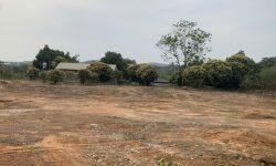 Bán đất Cẩm Trạch, Đạo Tú, Tam Dương. DT 825m2, Giá 8.5tr/m2