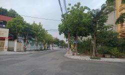 Bán đất lô góc view vườn hoa đường Phùng Quang Phong, Liên Bảo, Vĩnh Yên, Vĩnh Phúc