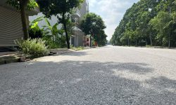 Đất tại băng 1 khu B Nam Đàm Vạc, Vĩnh Yên, Vĩnh Phúc
