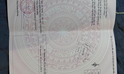 Bán lô góc tại xóm Chám, Định Trung, Vĩnh Yên, Vĩnh Phúc