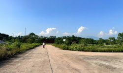 Bán đất đấu giá Đồng Tướng, Hướng Đạo, Tam Dương, Vĩnh Phúc