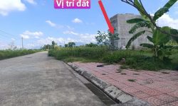 Bán đất phân lô gò xoan chợ Thanh Vân, Tam Dương, Vĩnh Phúc. Giá chỉ 2.35 tỷ