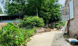 Bán lô đất khu hành chính 16, Làng Bầu, Liên Bảo, Vĩnh Yên