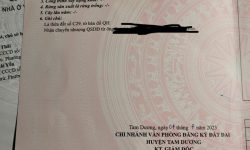Bán đất dãy C Gò Xoan, Thanh Vân, Tam Dương, Vĩnh Phúc hướng Tây Bắc