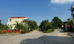 Bán 2 ô đất liền nhau tại TDP Lai Sơn, Đồng Tâm, Vĩnh Yên. Hưởng hạ tầng đất đấu giá