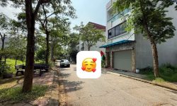 Bán lô 171m2 khu D Nam Đầm Vạc Mt:8m đường 13,5m