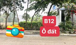 Bán ô đất cửa ngõ KCN Tam Dương    Mầm Non Kim Long B