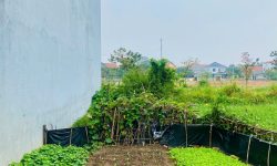 Bán ô đất đấu giá khu chỉ huy quân sự Tỉnh, phường Đồng Tâm, Vĩnh Yên, Vĩnh Phúc. Đường 19,5m