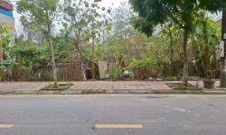 Bán đất phân lô nhà nước khu Đồng Nưa, Định Trung, Vĩnh Yên, Vĩnh Phúc