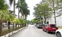 Bán đất kinh doanh đối diện chân chung cư An Phú, Vĩnh Yên.