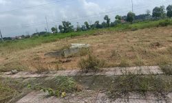 Bán đất đấu giá Lai Sơn, Đồng Tâm, Vĩnh Yên, Vĩnh Phúc. Đường 16,5m kinh doanh đẹp