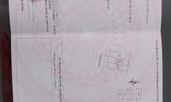 Phố Đỗ Nhuận hóc thân Đồng Tâm