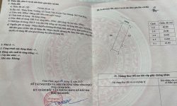 Bán đất trục chính thôn Xuân Trường, Thanh Vân, Tam Dương, Vĩnh Phúc.