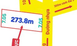 Bán đất thị trấn Hợp Châu, Tam Đảo, Vĩnh Phúc. Giá chỉ 1.65 tỷ Hướng Đông Nam