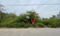 Bán lô băng 1 Đấu Giá Định Trung, Vĩnh Yên. DT: 117m2, mt 6m