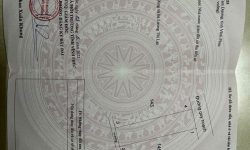 Bán đất khu đấu giá May Mặc, Kim Long, Tam Dương, Vĩnh Yên. Giáp khu công nghiệp Tam Dương