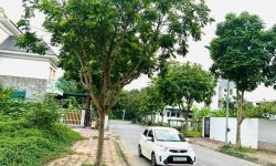 Biệt thự 200m² – Khu B Nam Đầm Vạc