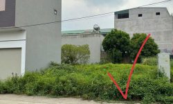 Bán 100m² full thổ cư B19 Đồng Hin, Đồng Tâm, Vĩnh Yên, gần bờ kênh