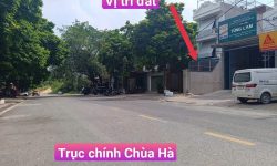 4,1xx tỷ – Đất trục chính Chùa Hà, Định Trung, Vĩnh Yên