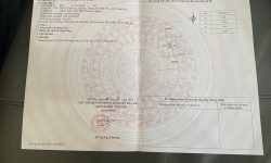 Duy Nhất một lô đất 2 đầu đường, trục Nguyễn Trinh – Liên Bảo -Vĩnh Yên Giá 5tyxx ✔️ DT 100m. MT 5m.  Vị trí đẹp xung quanh nhiều tiện ích đường thông thoáng kinh doanh mọi mặt hàng, mở vp,cty
