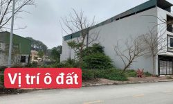 Bán đất dịch vụ Lai Sơn, Đồng Tâm, Vĩnh Yên. Đất dãy A view cánh đồng