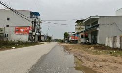 Cần bán đất trục kinh doanh gần Chợ Thanh Vân, Tam Dương, Vĩnh Phúc