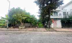 Bán lô đất biệt thự 253m2, Mt 11m Khu A – Nam Đầm Vạc