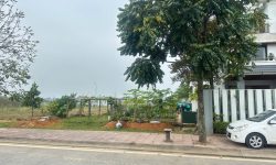 Bán siêu rẻ lô đất biệt thự 300m2 băng 2 Hồ khu đô thị Nam Vĩnh Yên