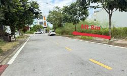 Bán Lô BTSL 203m2 KĐT Nam Vĩnh Yên đối diện dự án VinHomes