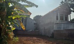 Bán 2 lô hàng f0 Đôn Hậu, Khai Quang, Vĩnh Yên giá chỉnh 2,5tỷ
