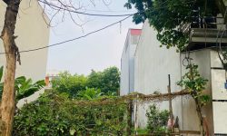 Bán lô C19 Trần Doãn Hựu, Cụm Kinh Tế, Đồng Tâm.