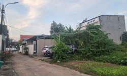 Bán nhà 3 tầng Phú Ninh, Thanh Vân, Tam Dương. DT 296m2