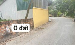 Bán đất xóm Gẩy, Định Trung, Vĩnh yên, Vĩnh Phúc. DT 110m2 giá chỉ 2.35 tỷ
