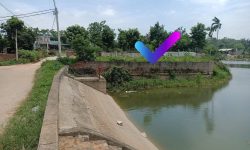 Bán đất tại Trại Giềng, Thanh Vân, Tam Dương, Vĩnh Phúc. DT 1149m2 giá chỉ 5 triệu/m2