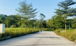 Bán lô đất phân lô tại Vân Hội City, Đồng Tâm, Vĩnh Yên, Vĩnh Phúc