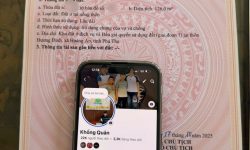 Bán đất đấu giá tại An Hòa, Tam Dương, Vĩnh Phúc