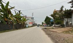 Đất đấu giá trục kinh doanh gần Chợ Thanh Vân, Tam Dương, Vĩnh Phúc