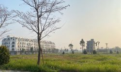 Bán 200m biệt thự Bắc Đầm Vạc. Không lỗi lầm, gần ngay hồ Đầm Vạc.